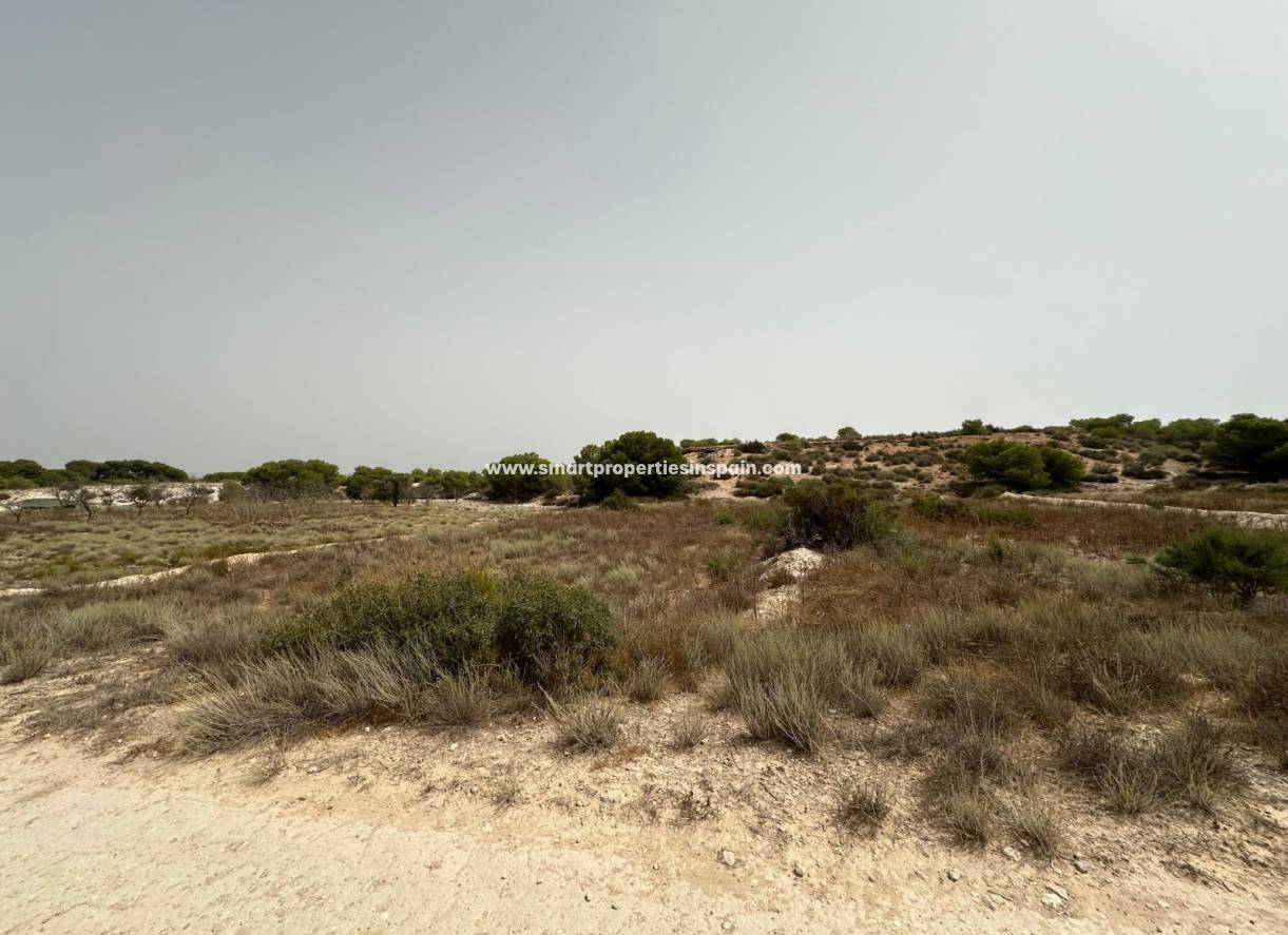 Wederverkoop - Plot - La Marina - Urbanización La Marina