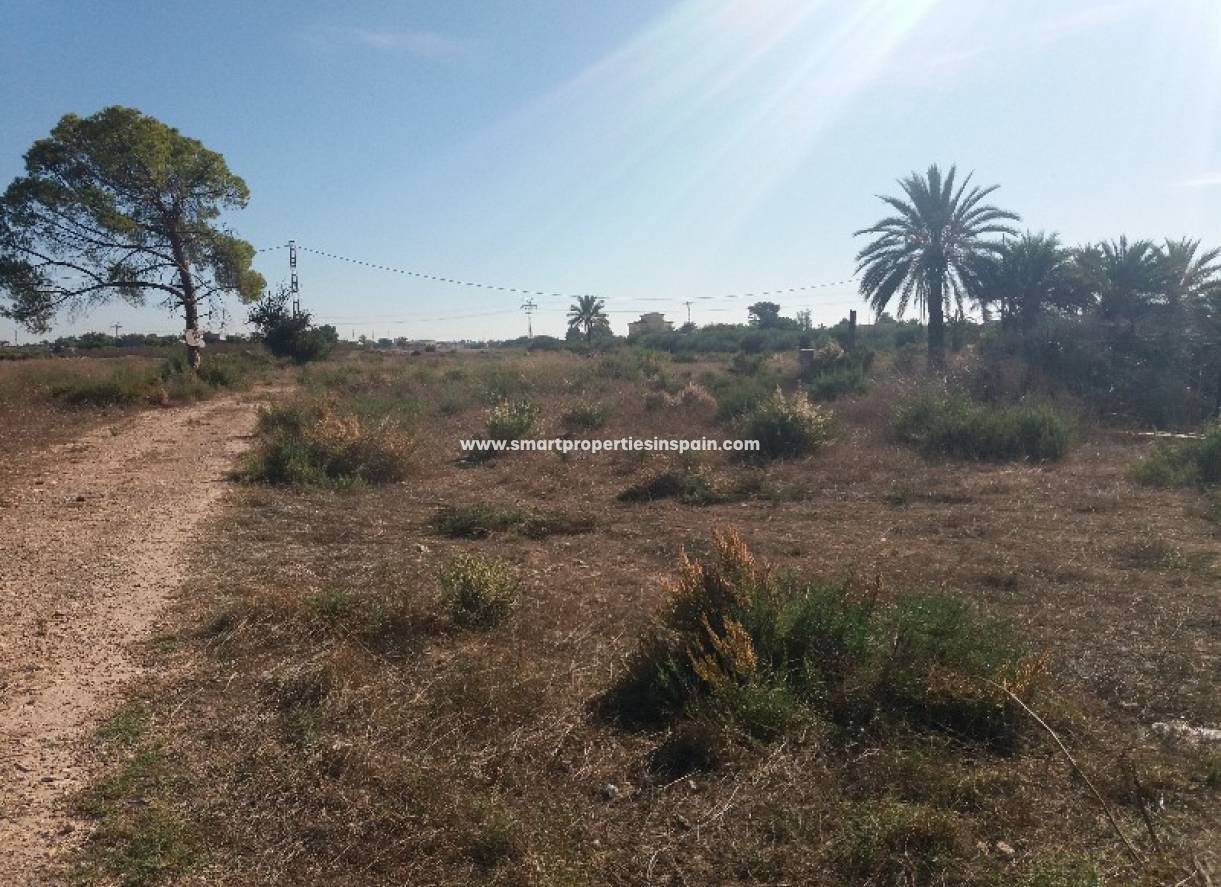 Wederverkoop - Plot - Matola - Crevillente