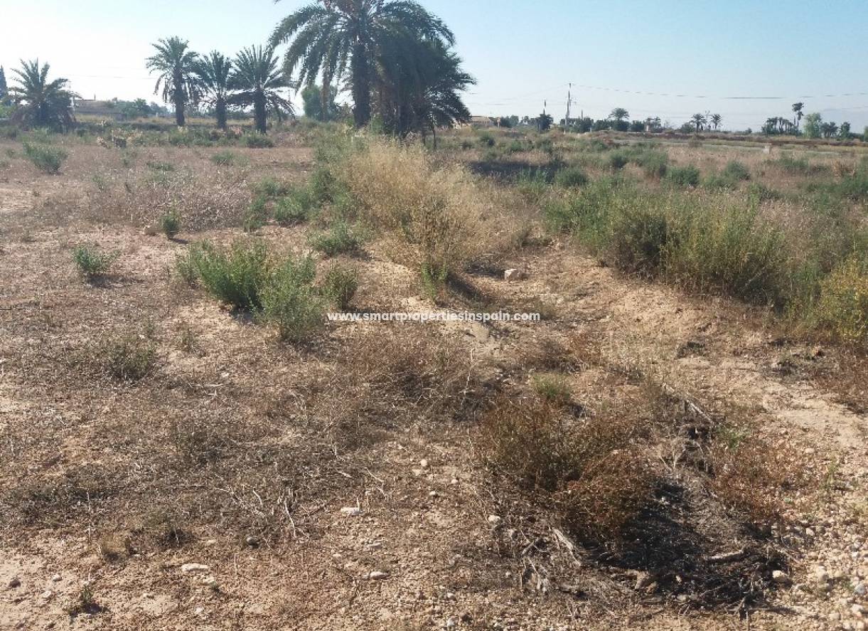 Wederverkoop - Plot - Matola - Crevillente