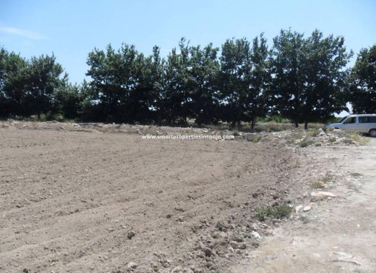 Wederverkoop - Plot - San Fulgencio