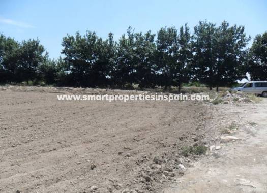 Wederverkoop - Plot - San Fulgencio