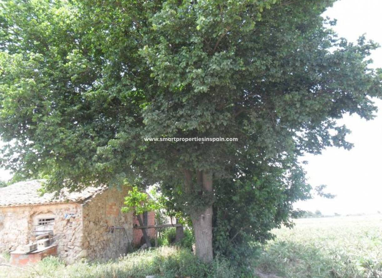 Wederverkoop - Plot - San Fulgencio