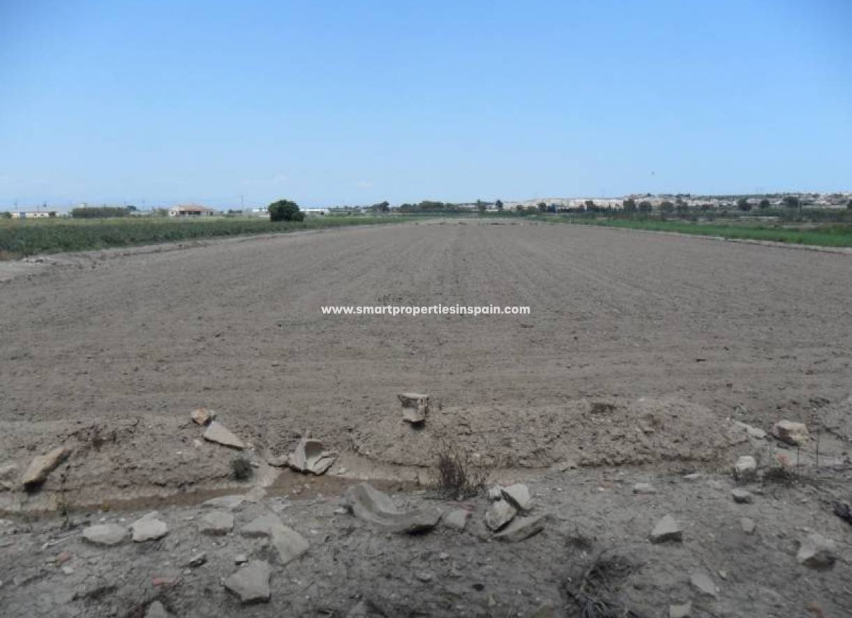 Wederverkoop - Plot - San Fulgencio
