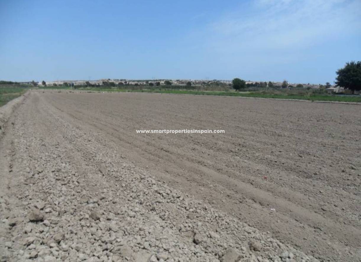 Wederverkoop - Plot - San Fulgencio