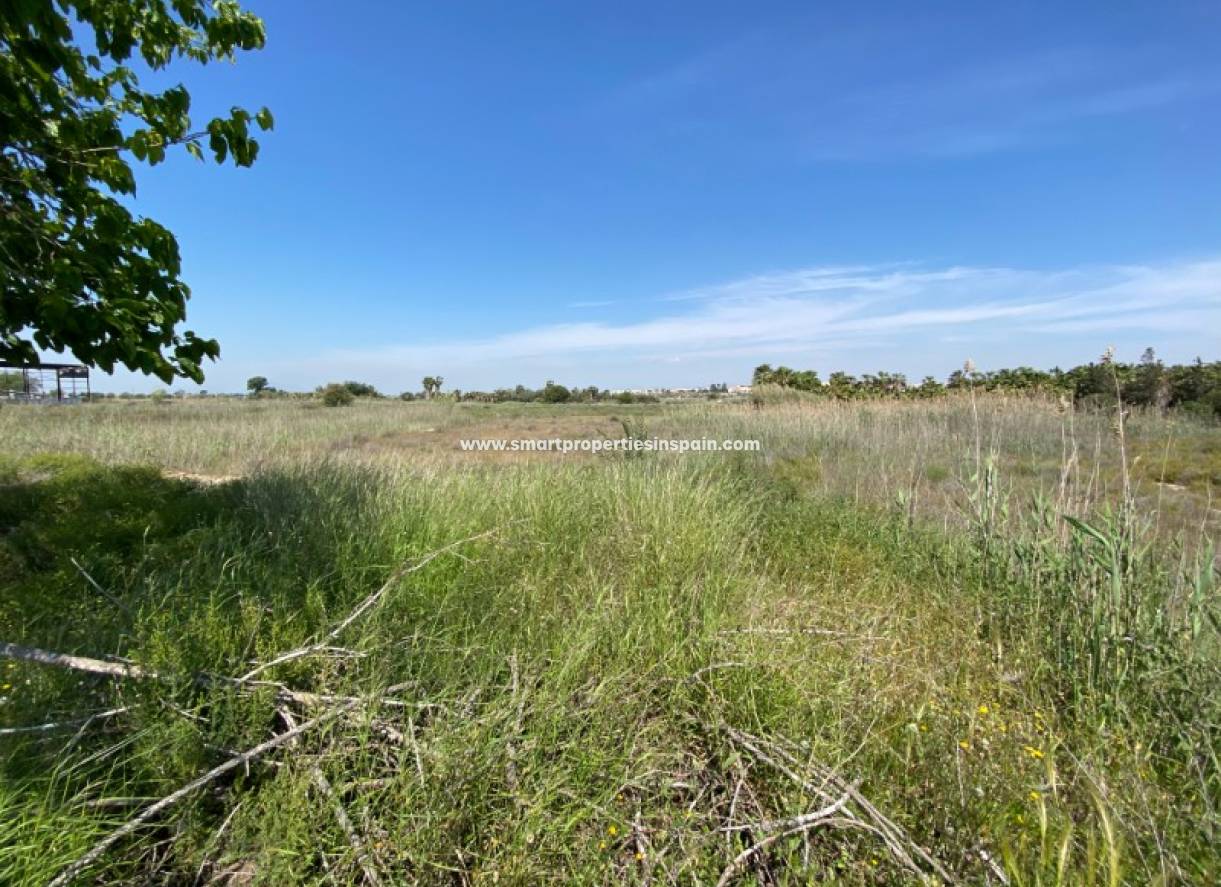 Wederverkoop - Plot - San Fulgencio