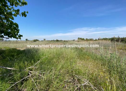 Wederverkoop - Plot - San Fulgencio