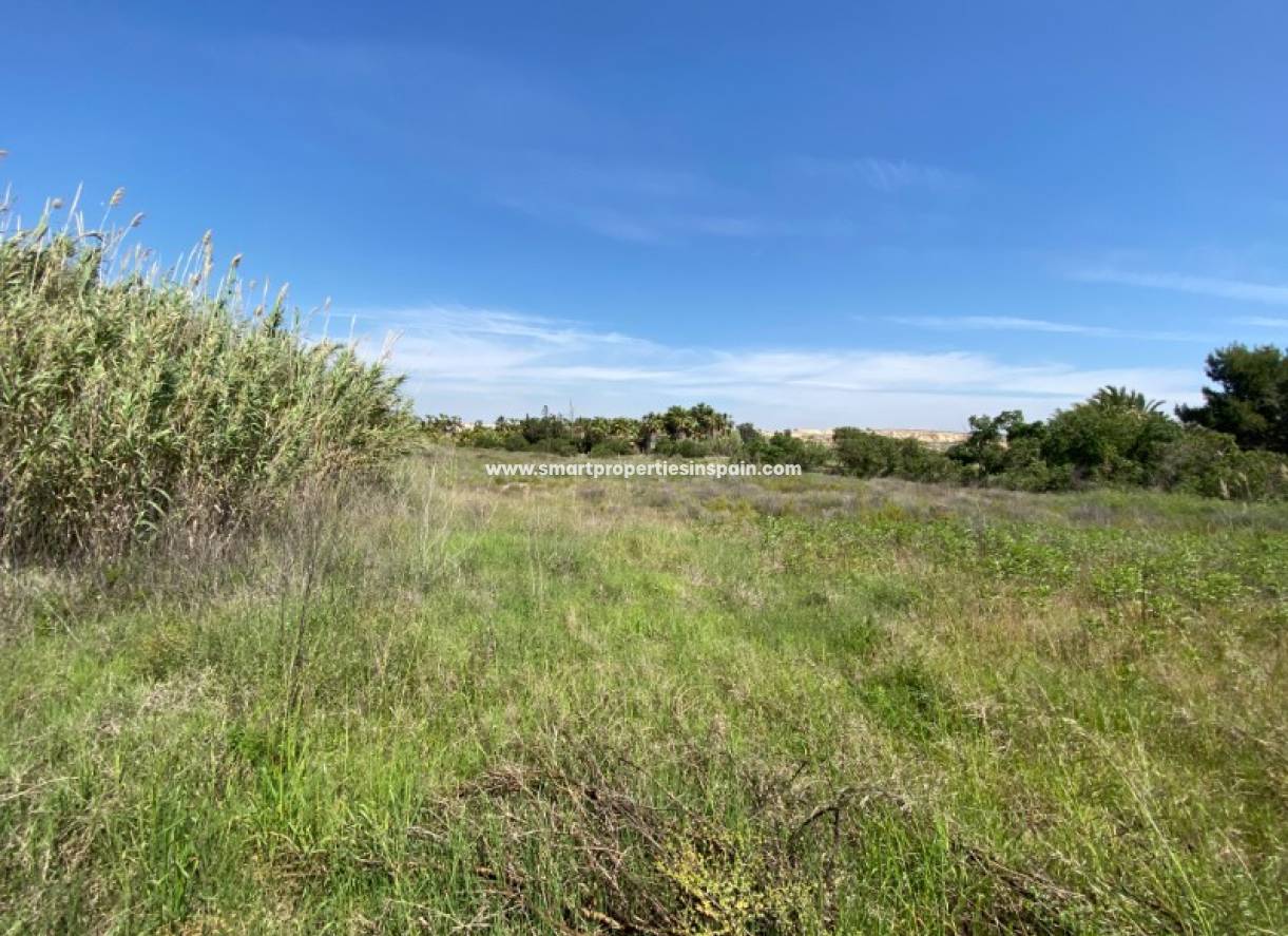 Wederverkoop - Plot - San Fulgencio