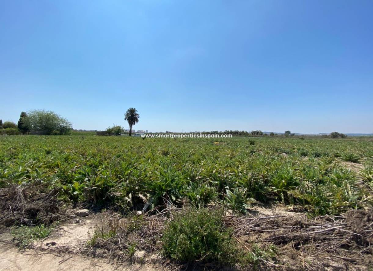 Wederverkoop - Plot - San Fulgencio