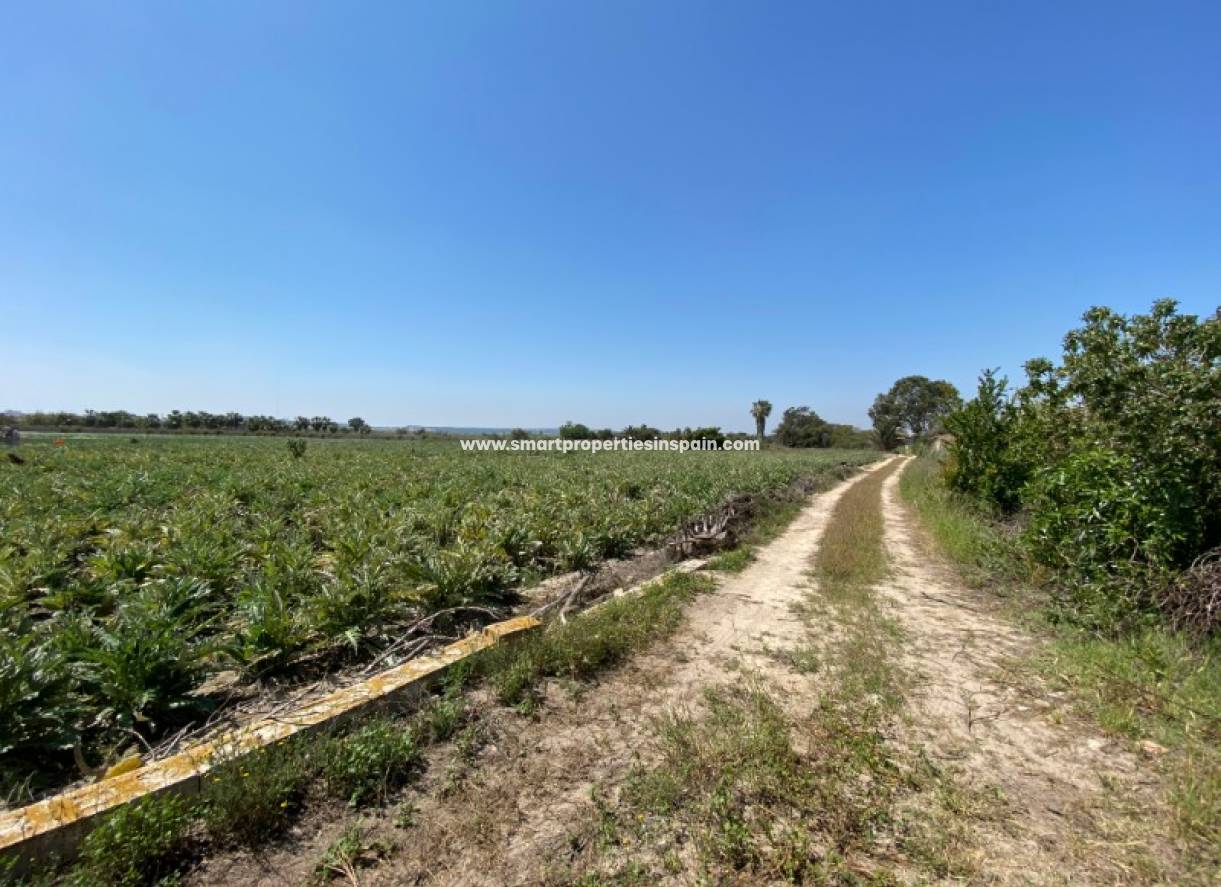 Wederverkoop - Plot - San Fulgencio