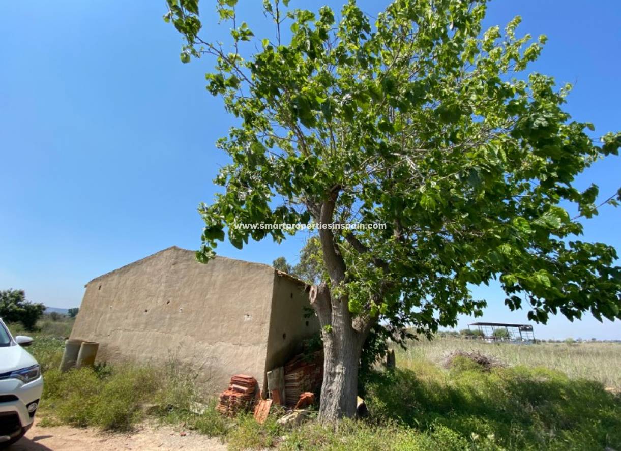 Wederverkoop - Plot - San Fulgencio