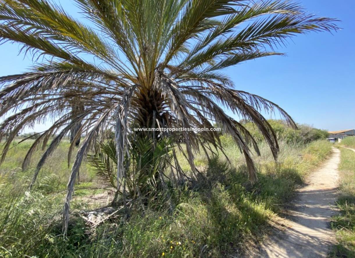 Wederverkoop - Plot - San Fulgencio