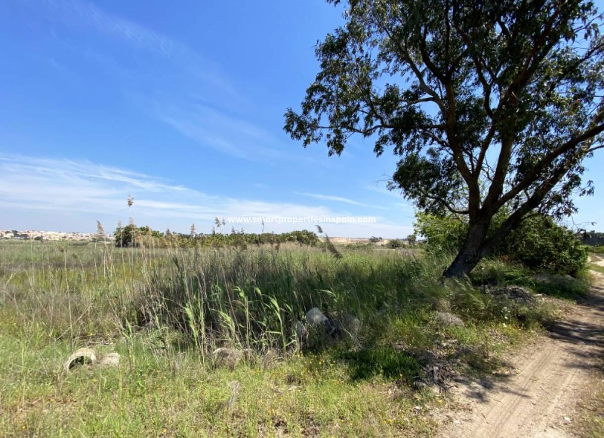 Wederverkoop - Plot - San Fulgencio