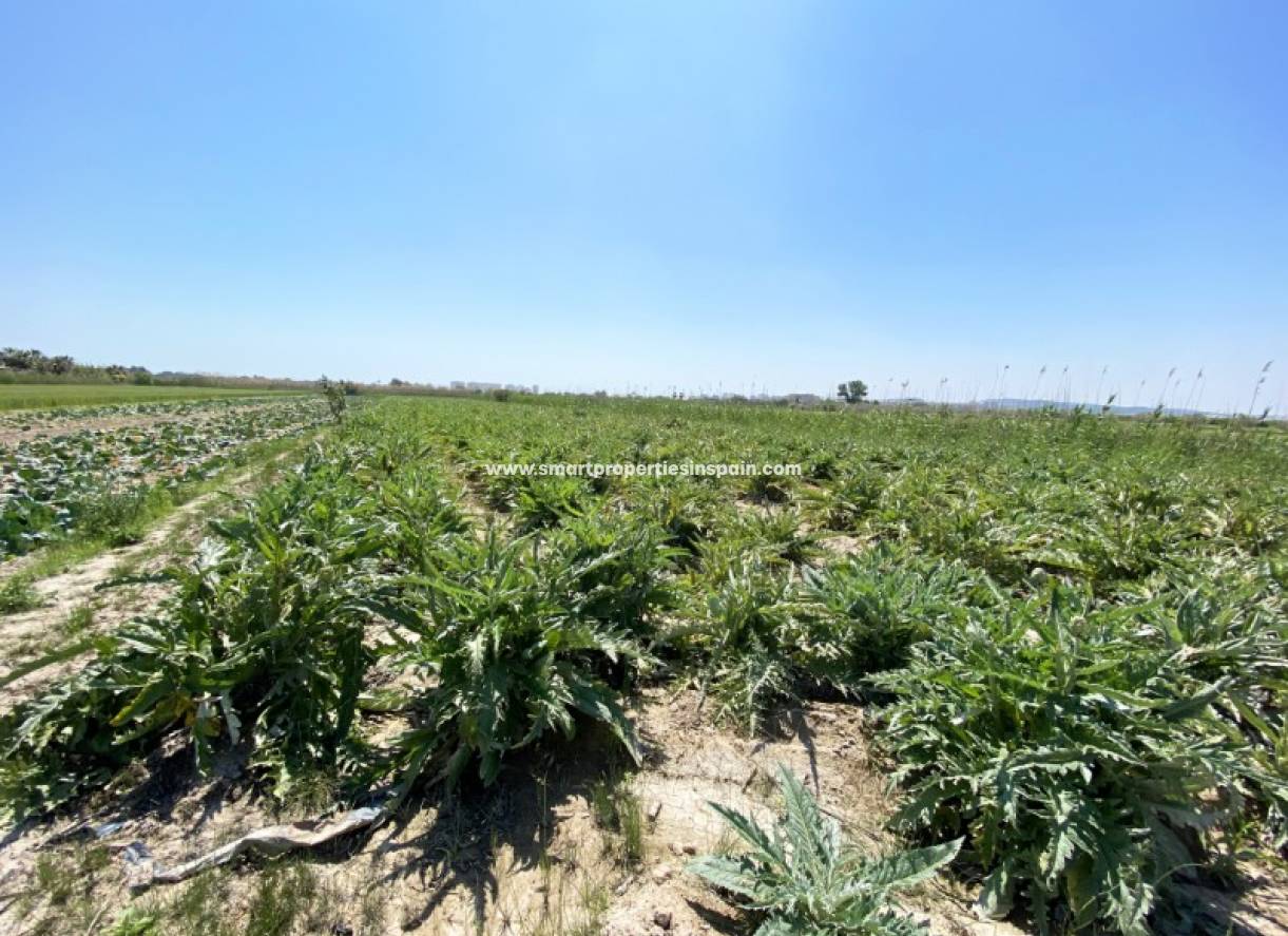 Wederverkoop - Plot - San Fulgencio