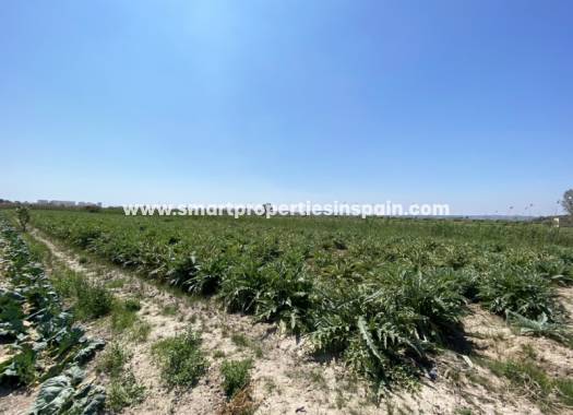 Wederverkoop - Plot - San Fulgencio