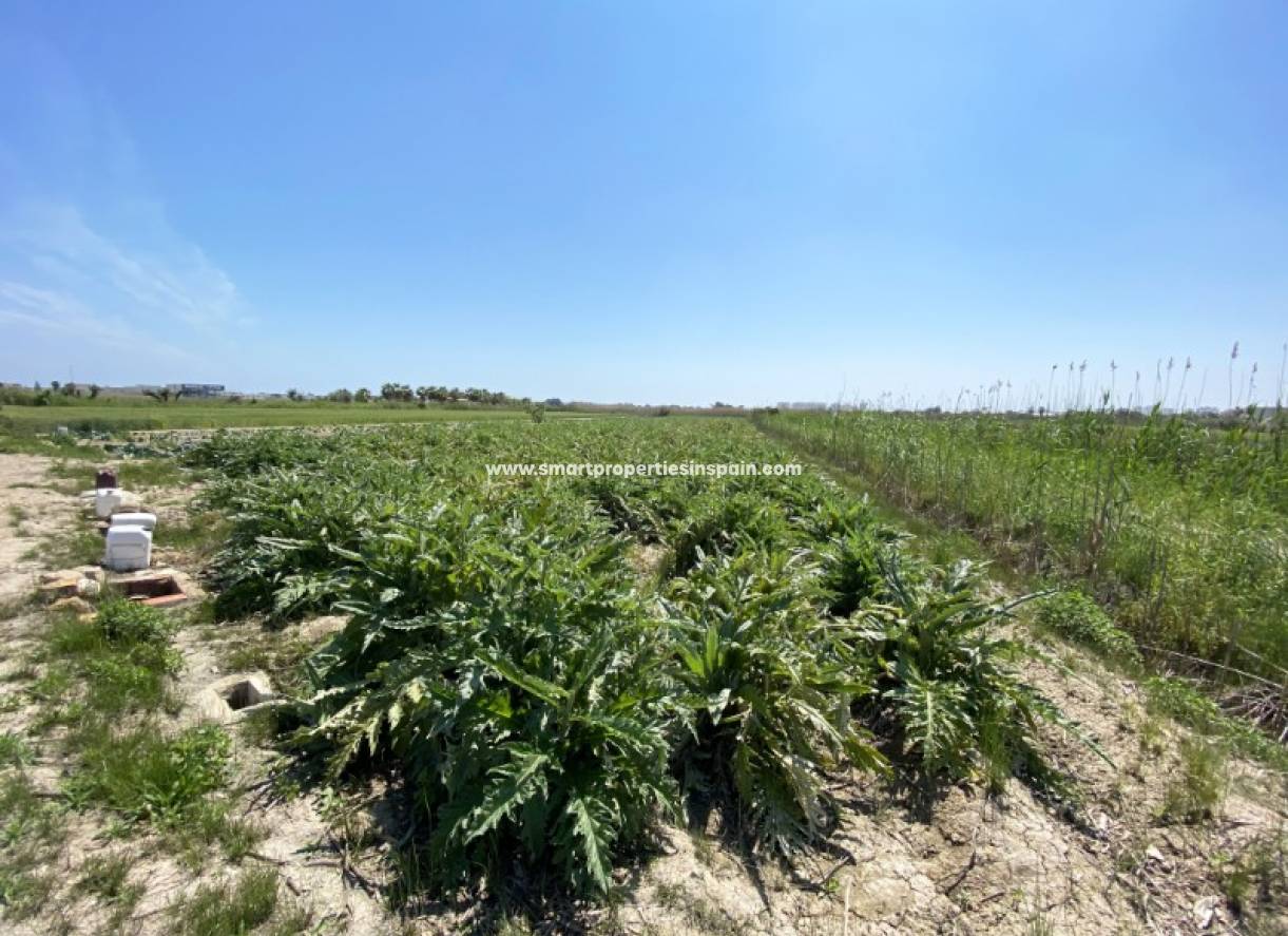 Wederverkoop - Plot - San Fulgencio