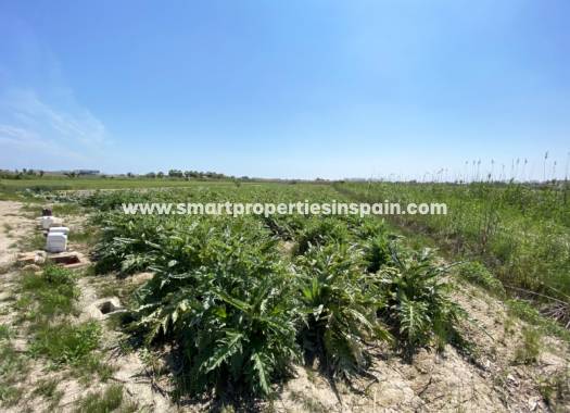 Wederverkoop - Plot - San Fulgencio