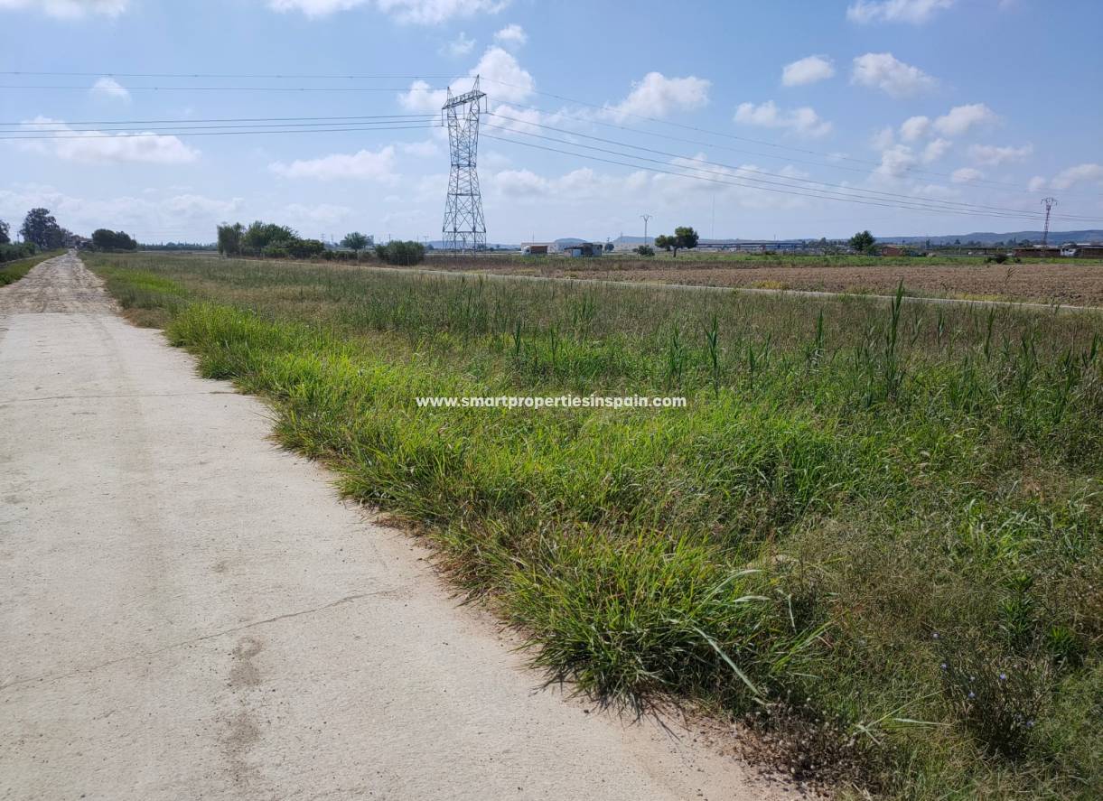 Wederverkoop - Plot - San Fulgencio
