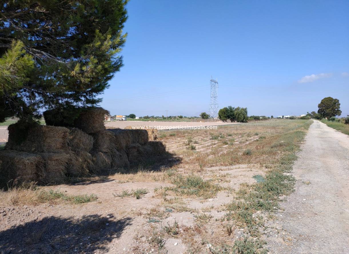 Wederverkoop - Plot - San Fulgencio