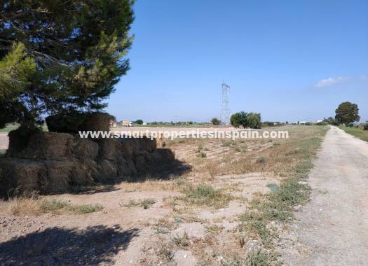 Wederverkoop - Plot - San Fulgencio