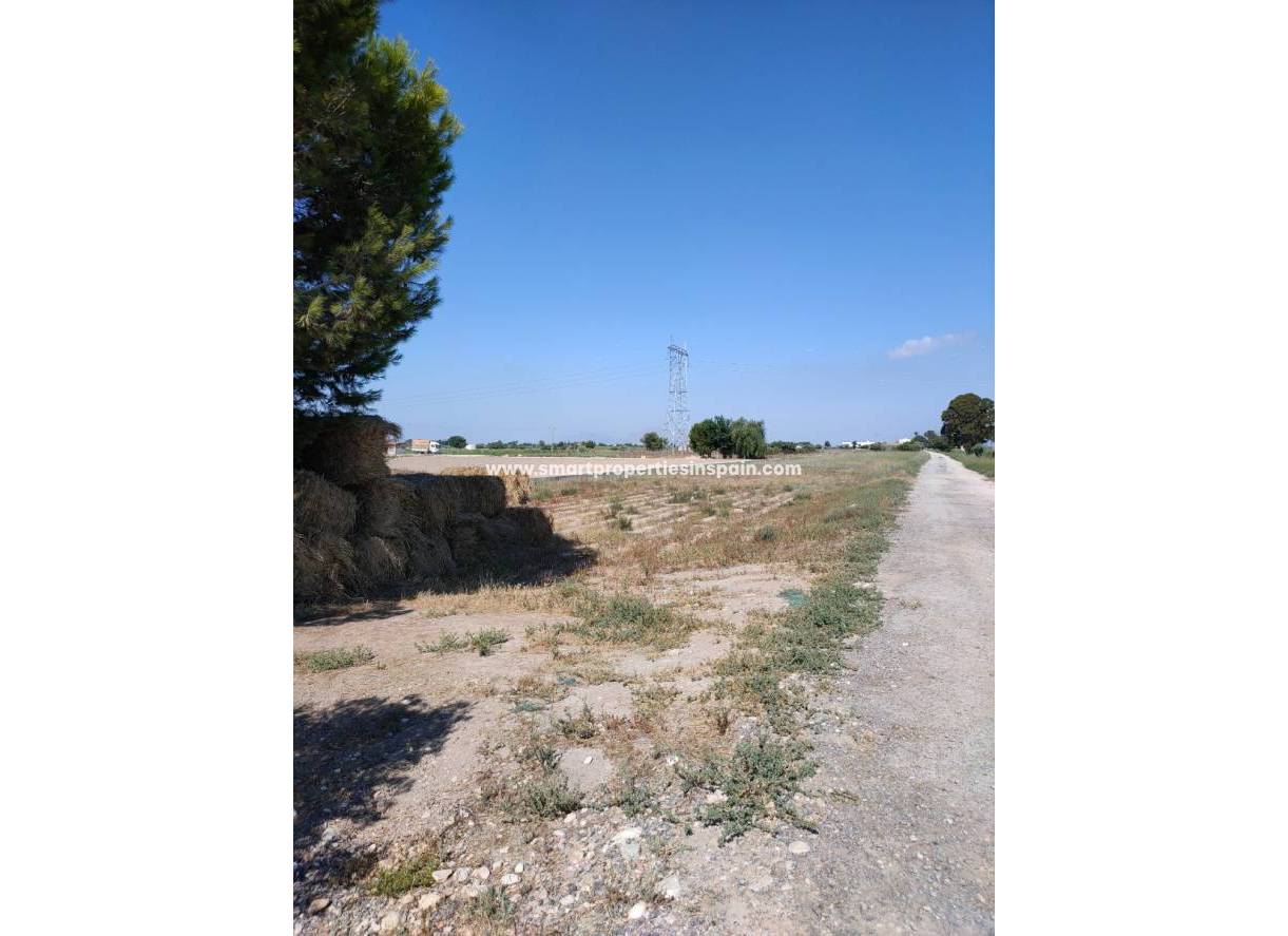 Wederverkoop - Plot - San Fulgencio