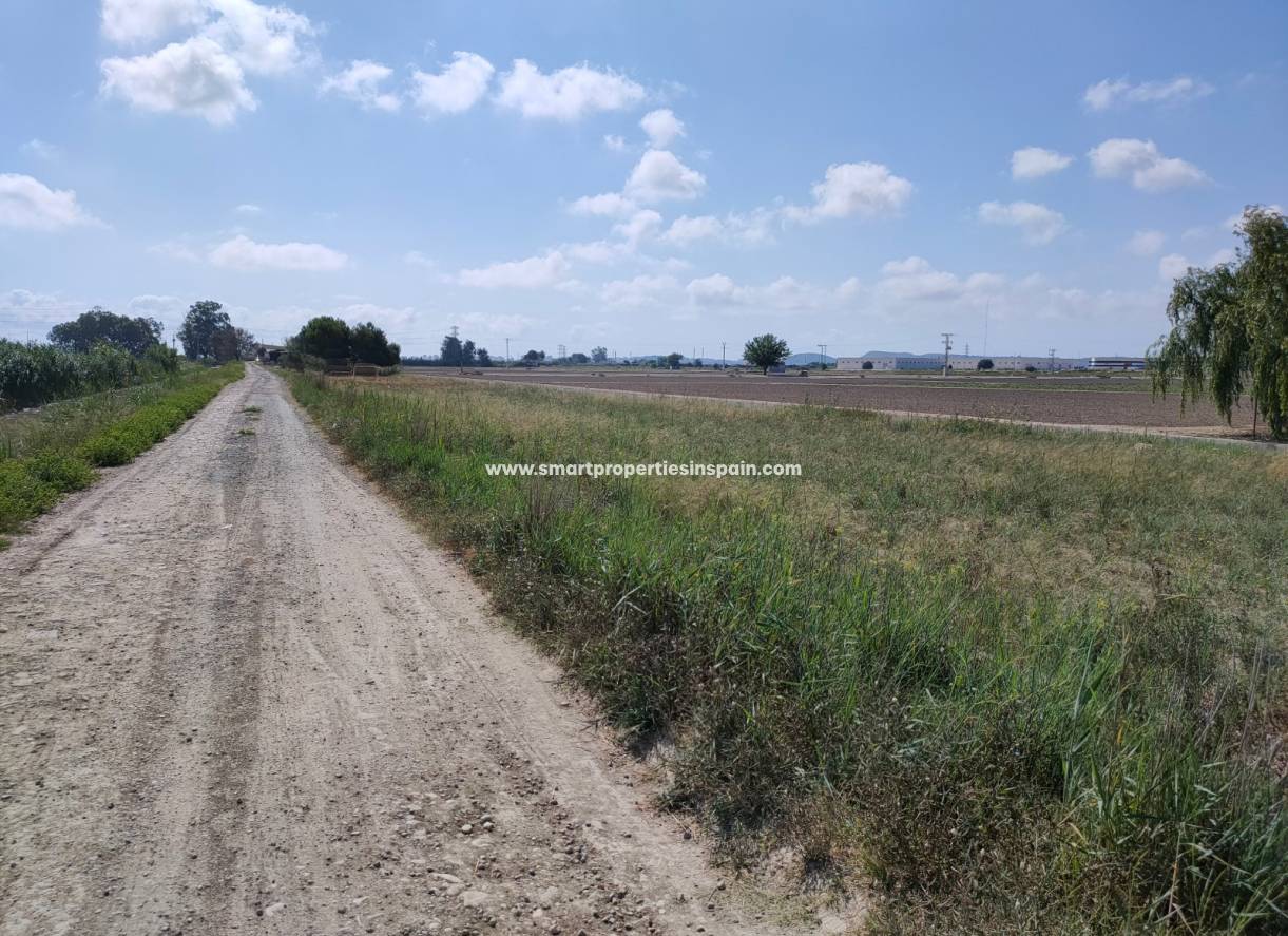 Wederverkoop - Plot - San Fulgencio