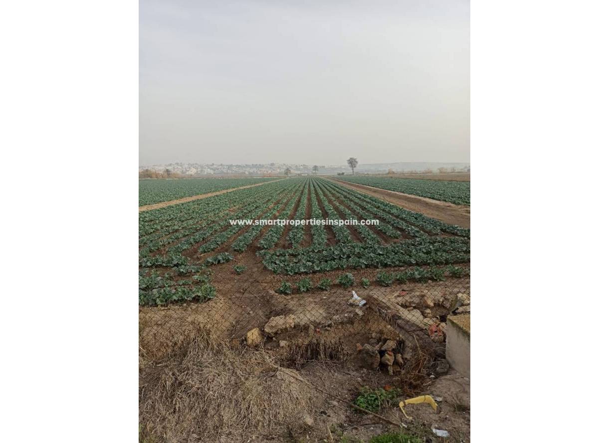 Wederverkoop - Plot - San Fulgencio