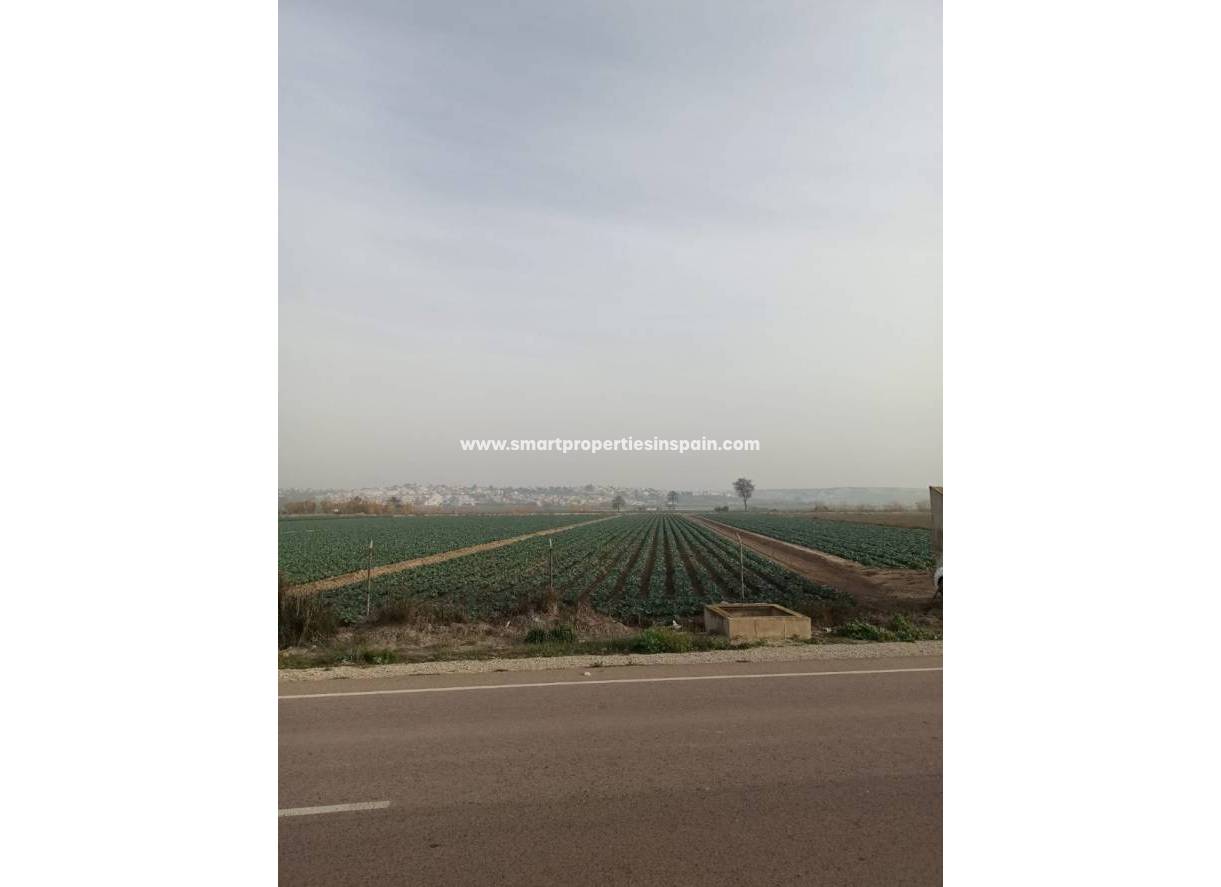 Wederverkoop - Plot - San Fulgencio