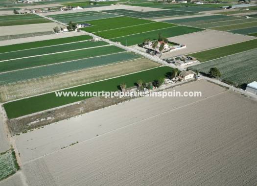 Wederverkoop - Plot - San Fulgencio