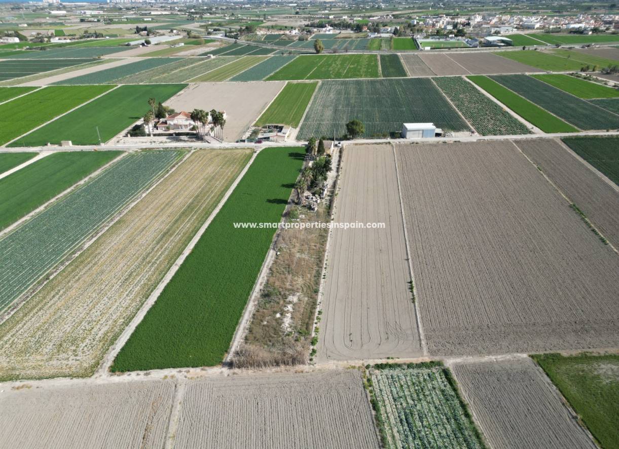 Wederverkoop - Plot - San Fulgencio