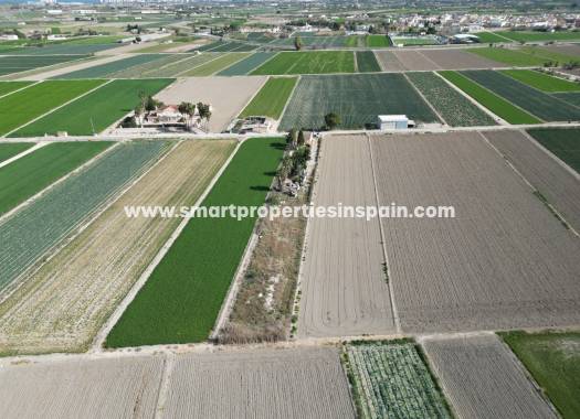 Wederverkoop - Plot - San Fulgencio