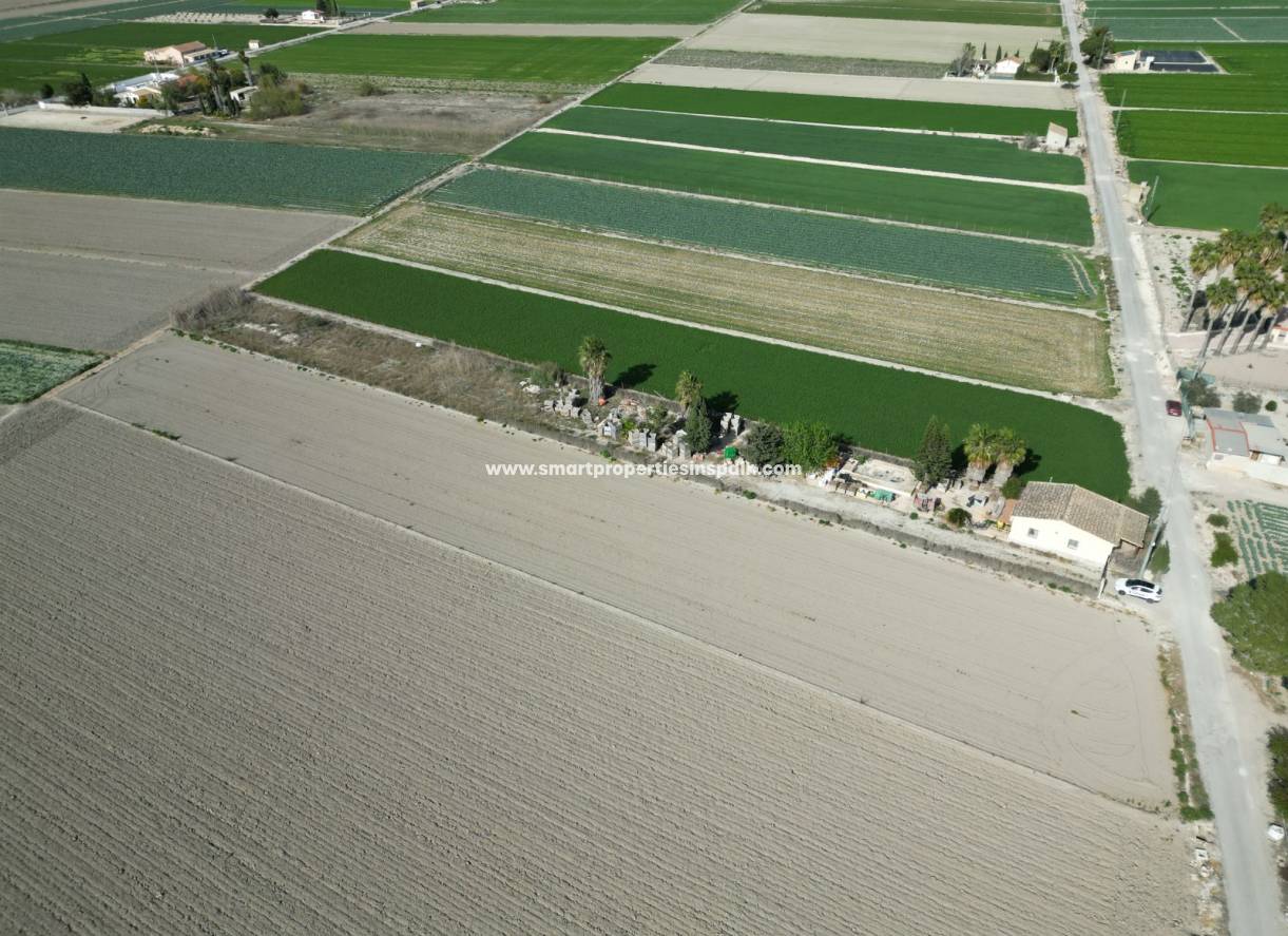 Wederverkoop - Plot - San Fulgencio
