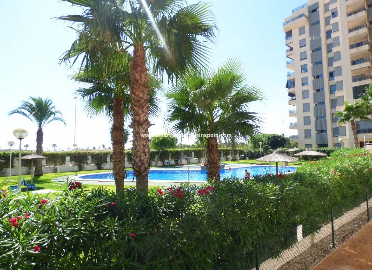 Wiederverkauf - Apartment - Guardamar  - Guardamar