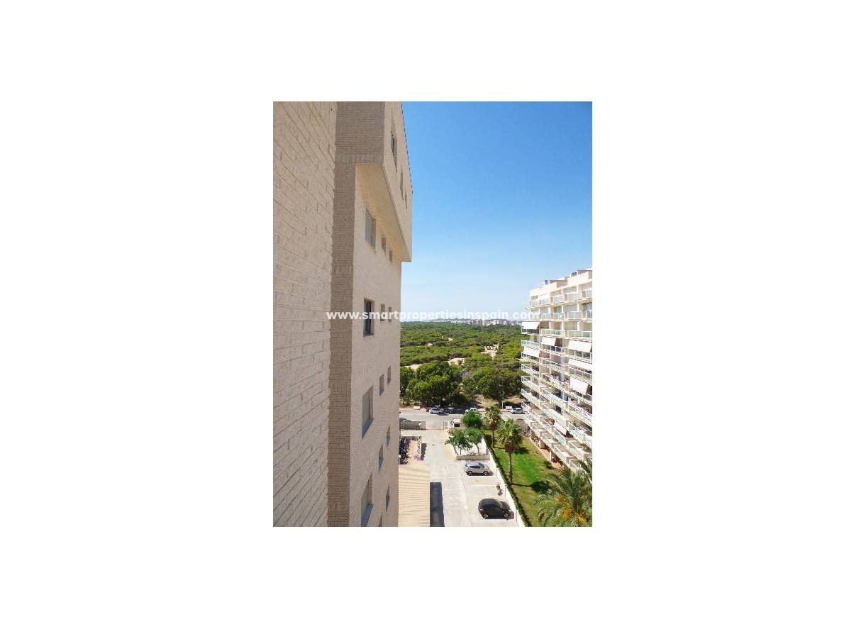Wiederverkauf - Apartment - Guardamar  - Guardamar