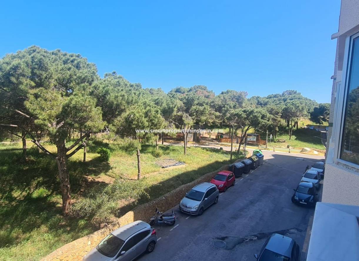 Wiederverkauf - Apartment - Guardamar  - Guardamar