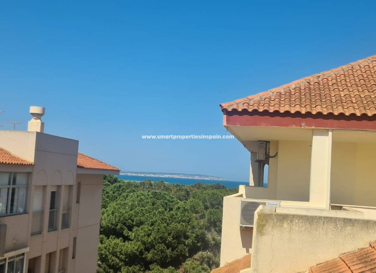 Wiederverkauf - Apartment - Guardamar  - Guardamar