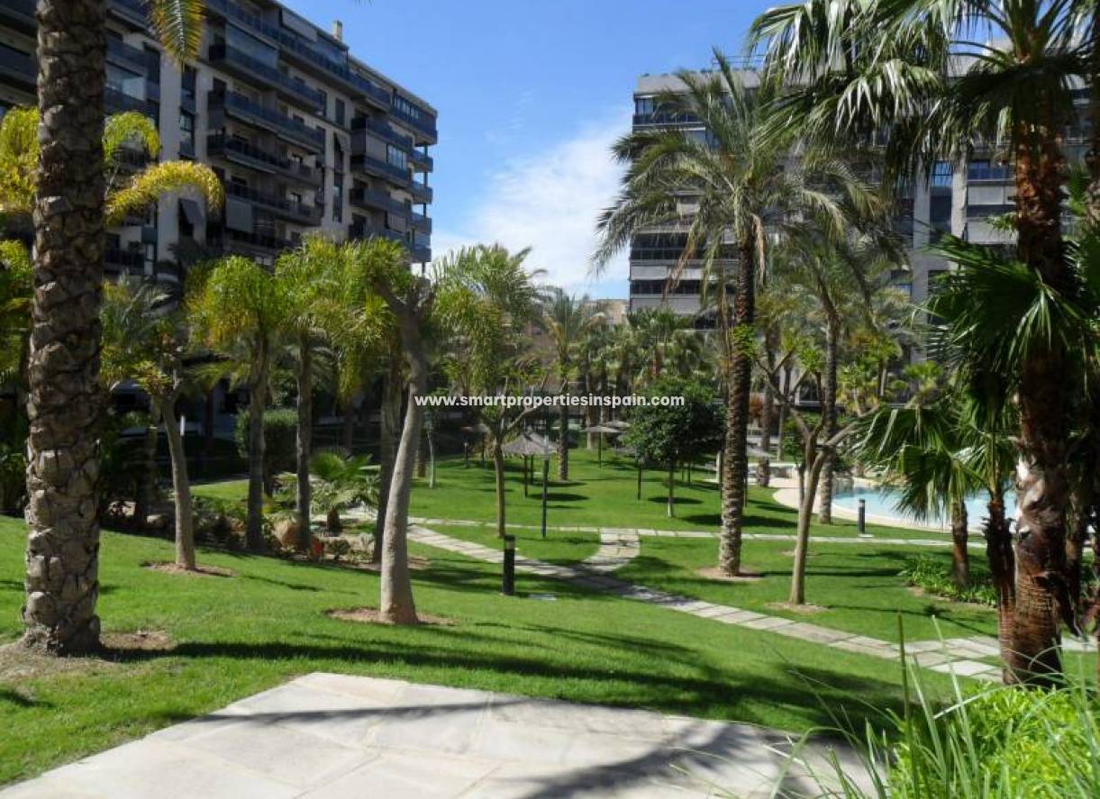 Wiederverkauf - Apartment - San Juan Alicante - San Juan de Alicante