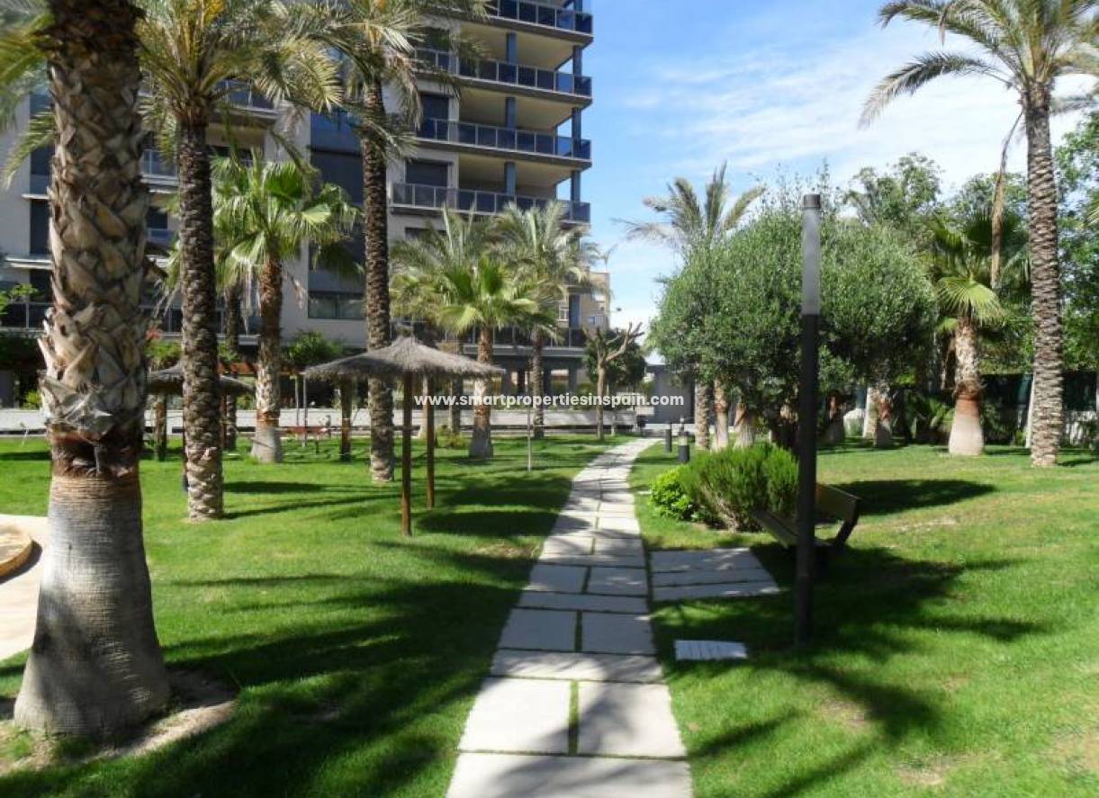 Wiederverkauf - Apartment - San Juan Alicante - San Juan de Alicante