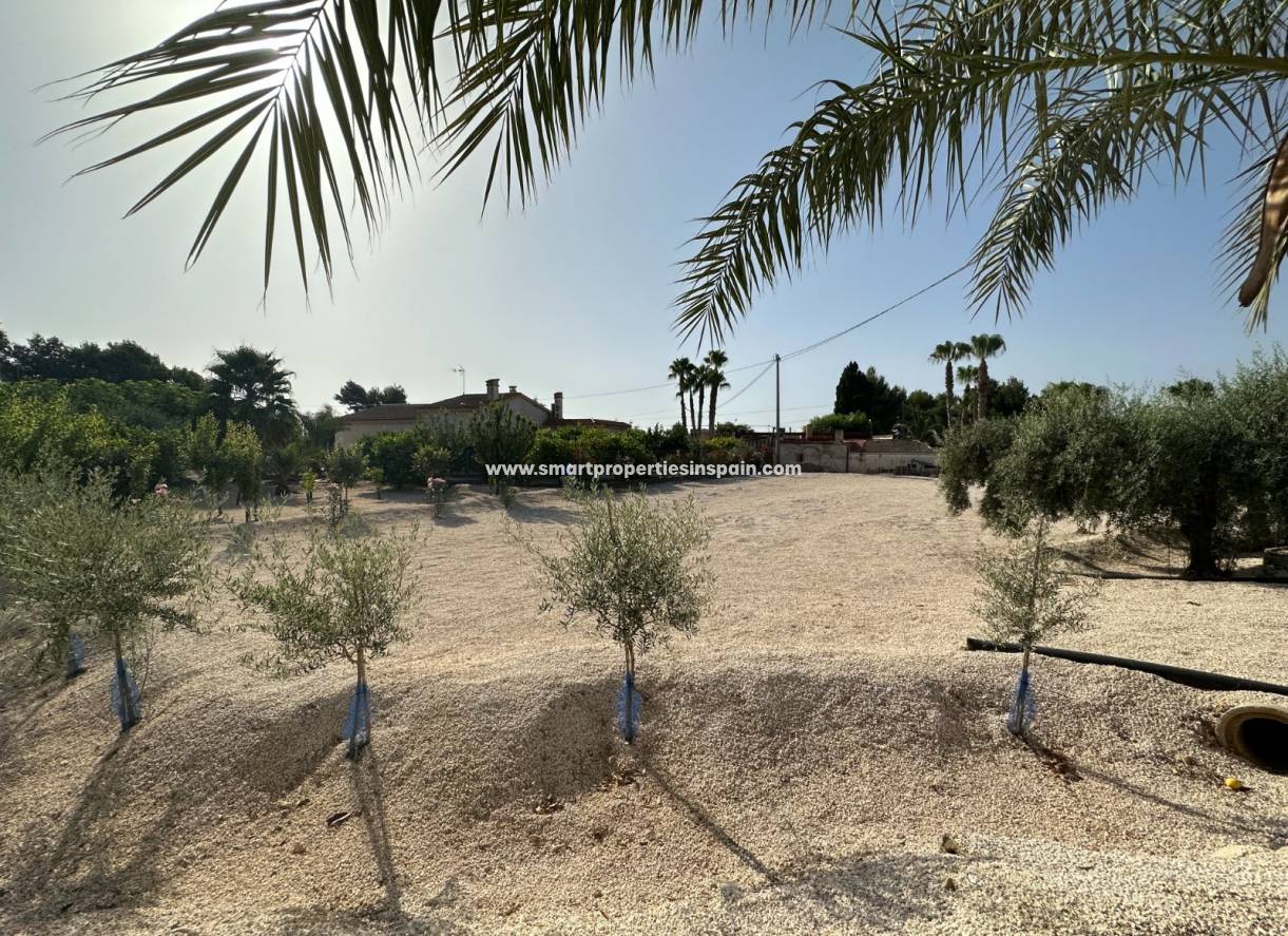 Wiederverkauf - Finca - Crevillente