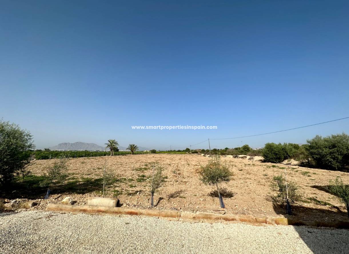 Wiederverkauf - Finca - Crevillente