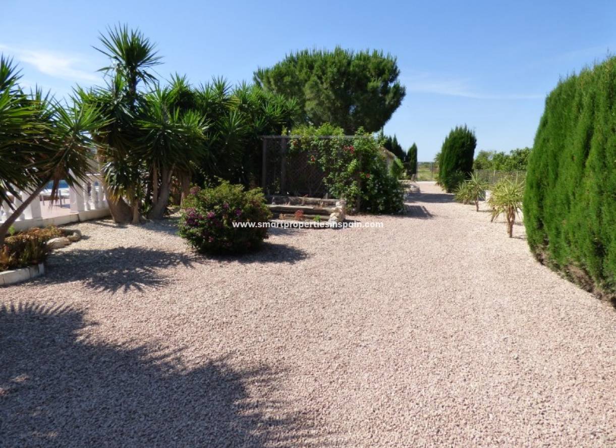 Wiederverkauf - Finca - Daya Vieja