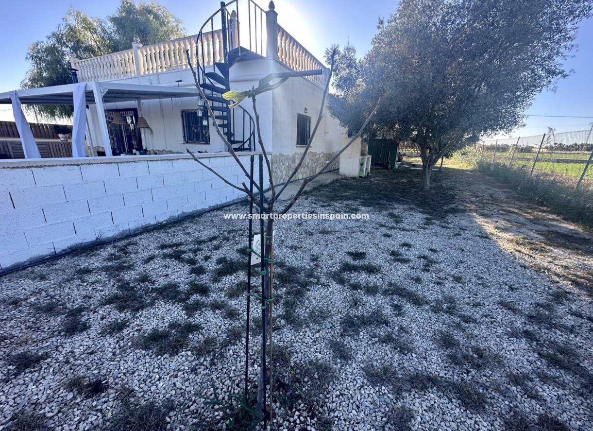 Wiederverkauf - Finca - Dolores - dolores