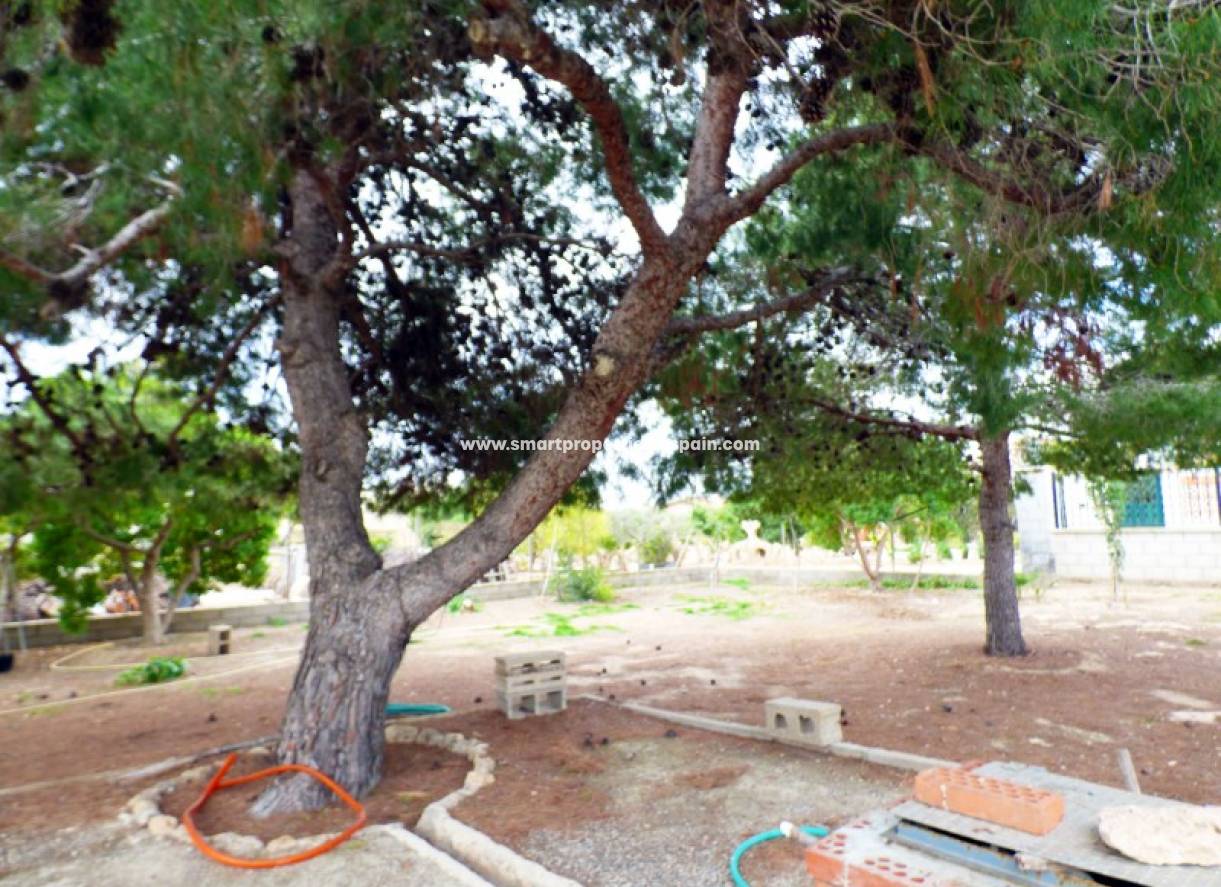 Wiederverkauf - Finca - Elche - Valverde