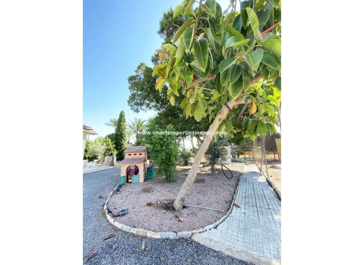 Wiederverkauf - Finca - Elche - Valverde