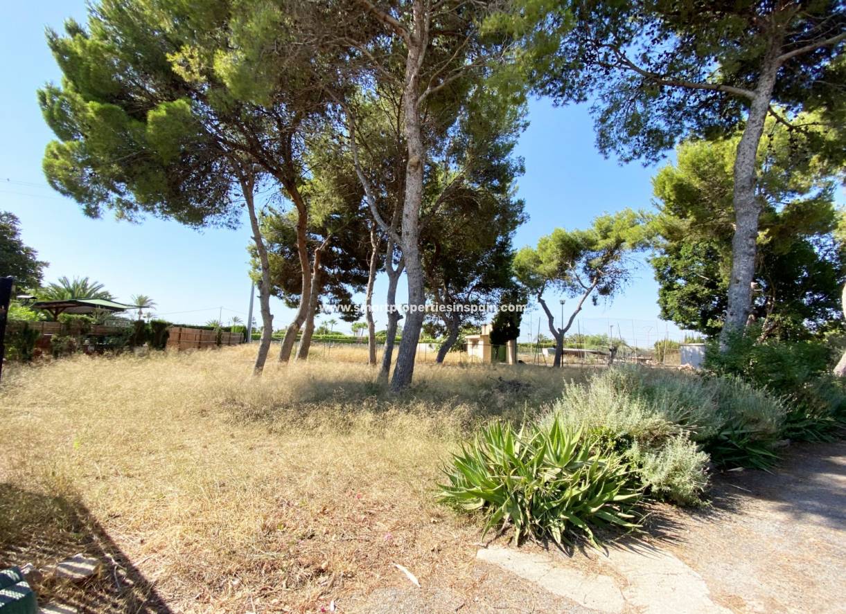 Wiederverkauf - Finca - Elche - Valverde