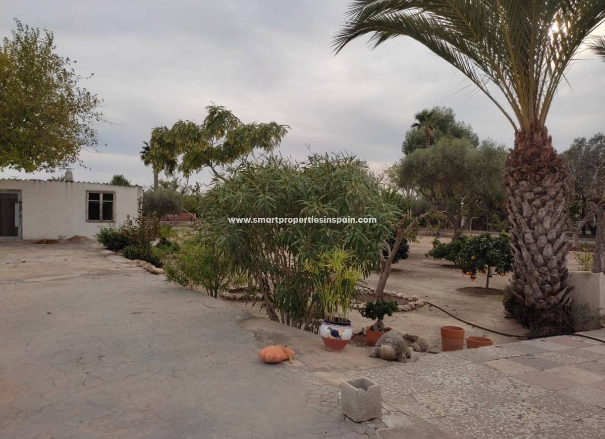 Wiederverkauf - Finca - Elche - Valverde