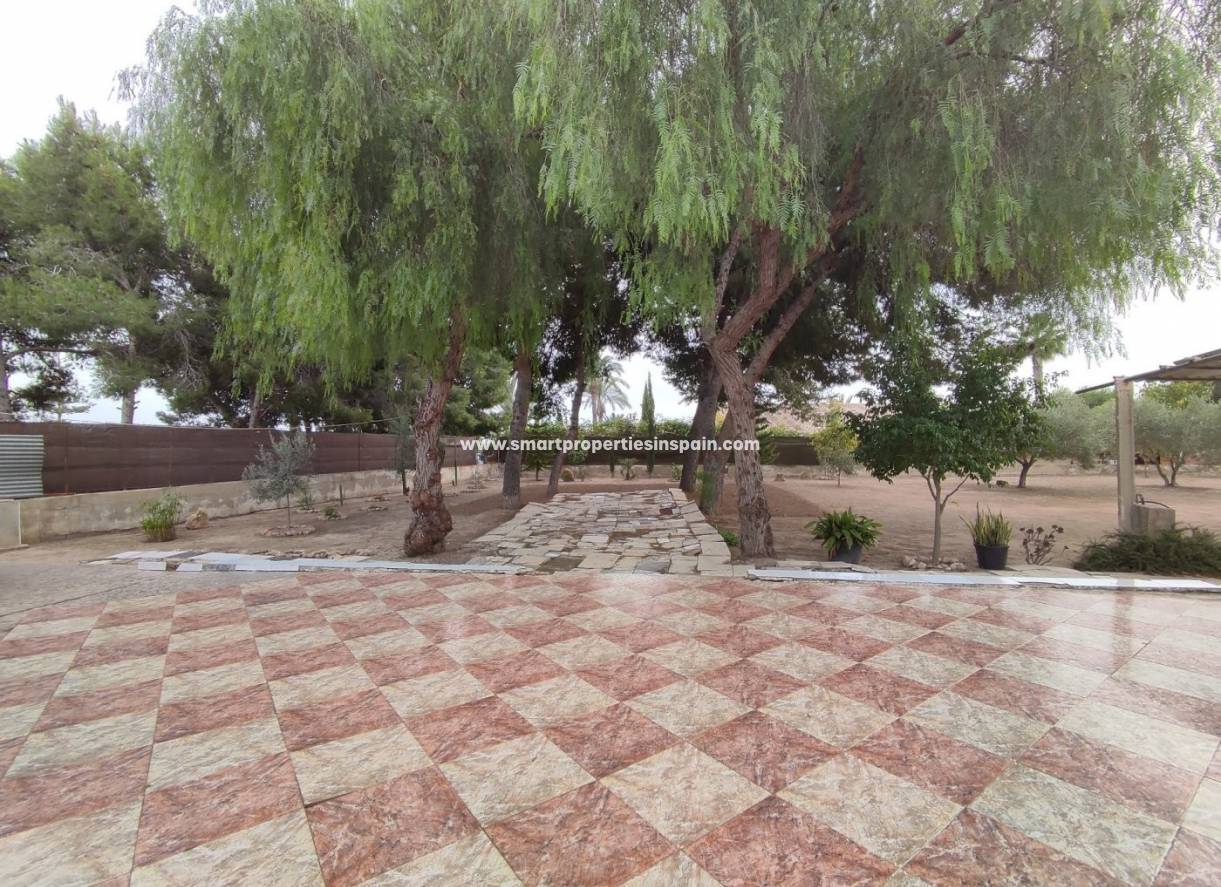 Wiederverkauf - Finca - Elche - Valverde
