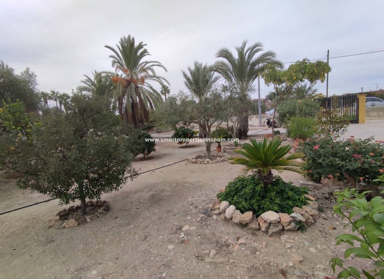 Wiederverkauf - Finca - Elche - Valverde