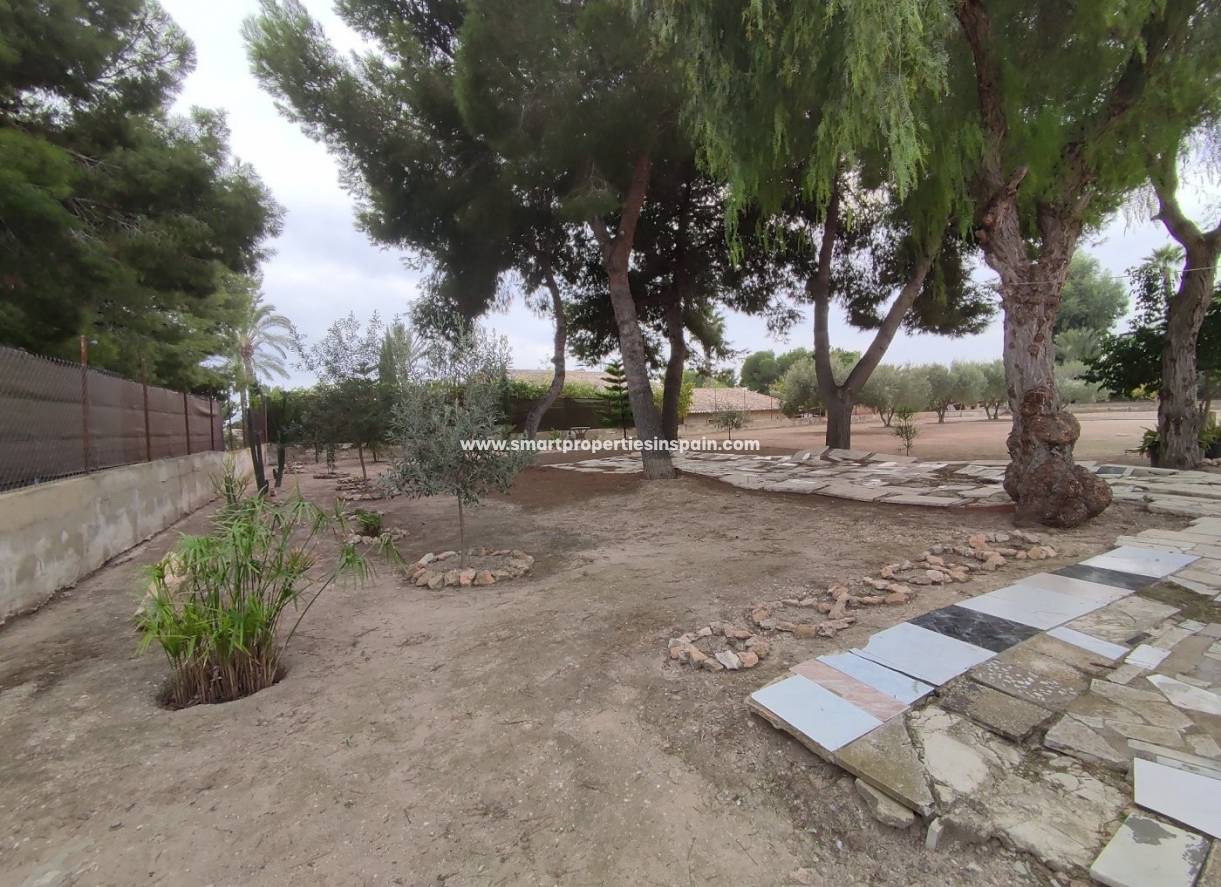 Wiederverkauf - Finca - Elche - Valverde