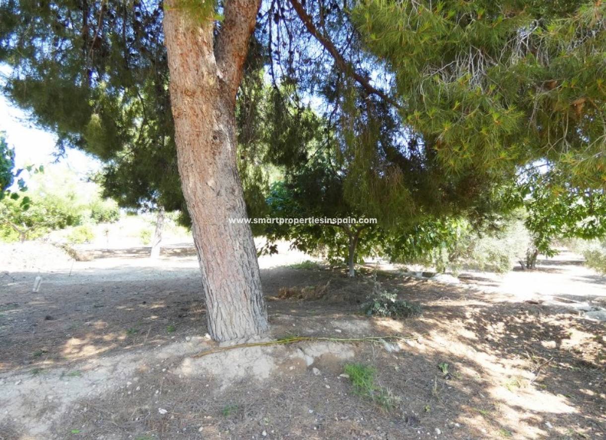 Wiederverkauf - Finca - Elche