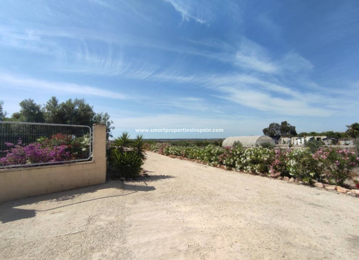 Wiederverkauf - Finca - Elche